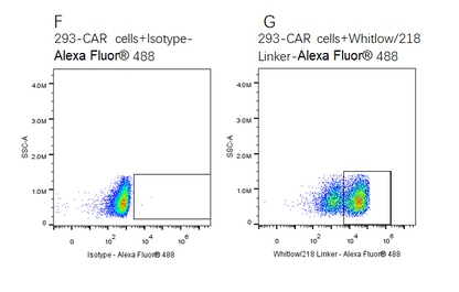Alexa Fluor 647-Labeled GUCY2C His Tag Protein, Human
