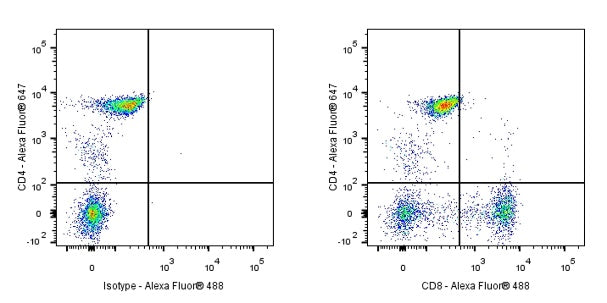 Mouse anti-Human CD8 Antibody (S-R533)