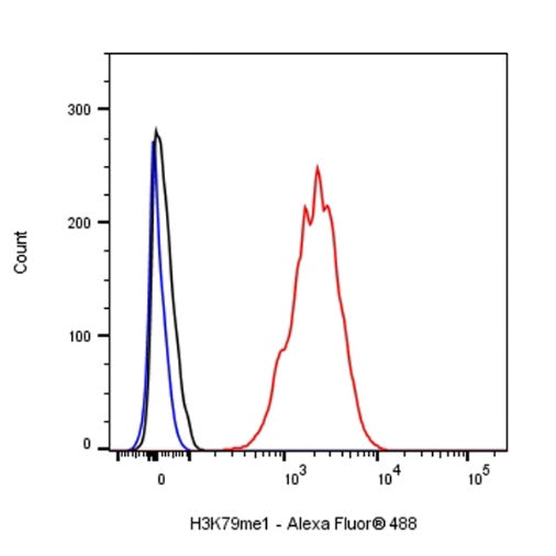 Histone H3 (mono methyl K79) Recombinant Rabbit mAb (S-R417)