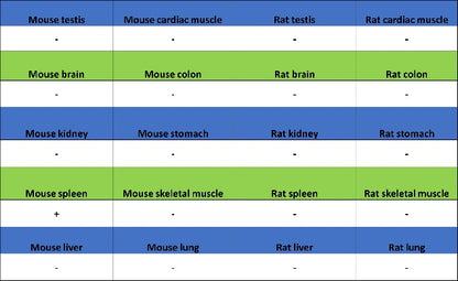 Rat Anti-Mouse CD45R/B220 Antibody (RA3-6B2)
