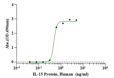 IL-15 Protein, Human
