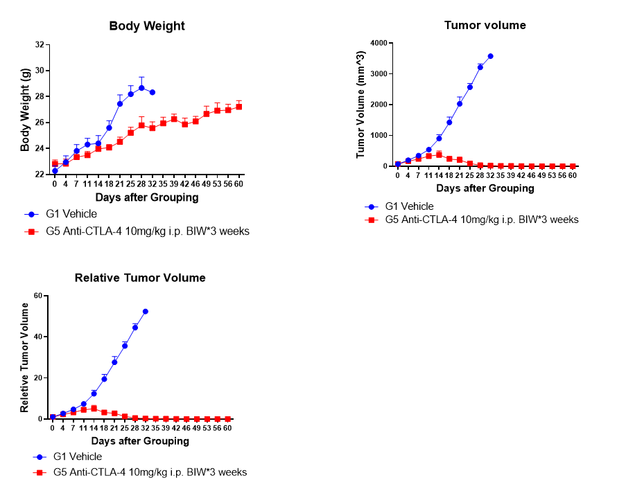 Invivo anti-mouse CTLA-4 (CD152) mAb