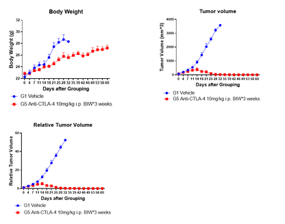 Invivo anti-mouse CTLA-4 (CD152) mAb