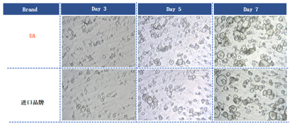 Recombinant Trypsin LS