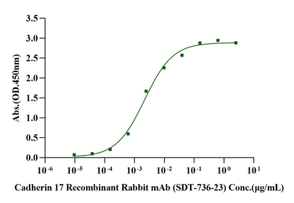 CDH17/LI-cadherin His Tag Protein, Cynomolgus