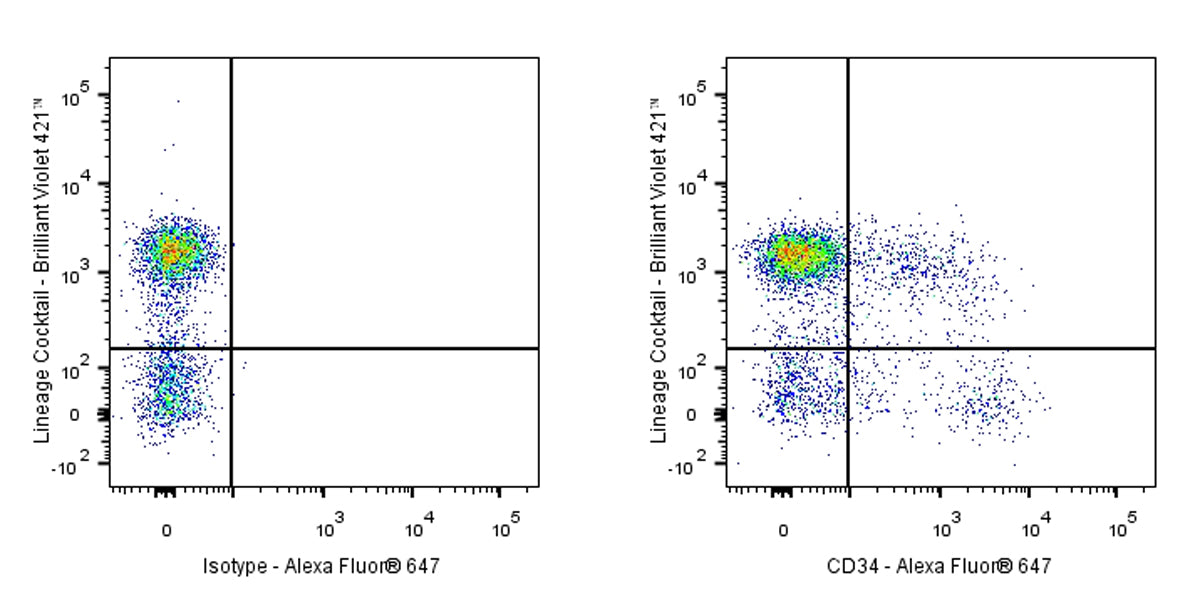 Alexa Fluor® 647 Rat Anti-Mouse CD34 Antibody (RAM34)