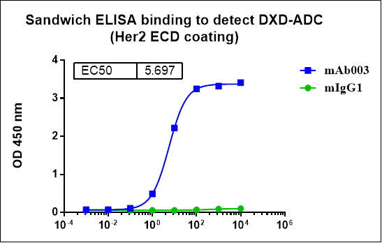 Monoclonal Anti-DXD Antibody