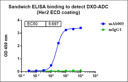 Monoclonal Anti-DXD Antibody