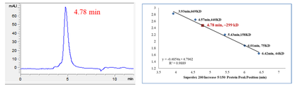 CDK1/Cyclin E2 Protein