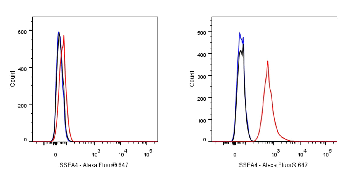 SSEA4 Recombinant Mouse mAb (Alexa Fluor® 647 Conjugate) (S-R541)
