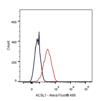 ACSL1 Recombinant Rabbit mAb (S-811-150)