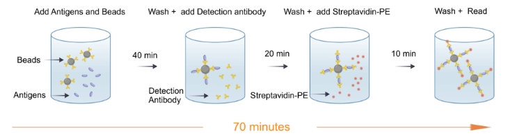 Human Essential Immune Biomarker 9-Plex Kit (Flow Cytometry Multiplex Bead Assay)