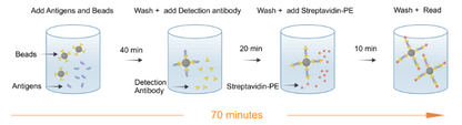 Human Essential Immune Biomarker 9-Plex Kit (Flow Cytometry Multiplex Bead Assay)