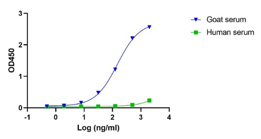 Donkey Anti-Goat IgG(H+L) (min X Hu Sr Prot)
