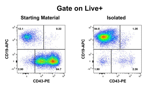 Human Pan B Cell Isolation Kit (Column-Free)