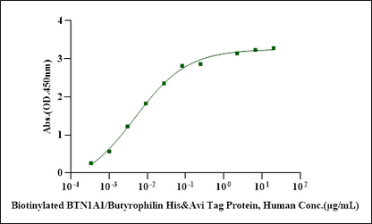 Biotinylated BTN1A1/Butyrophilin His&Avi Tag Protein, Human