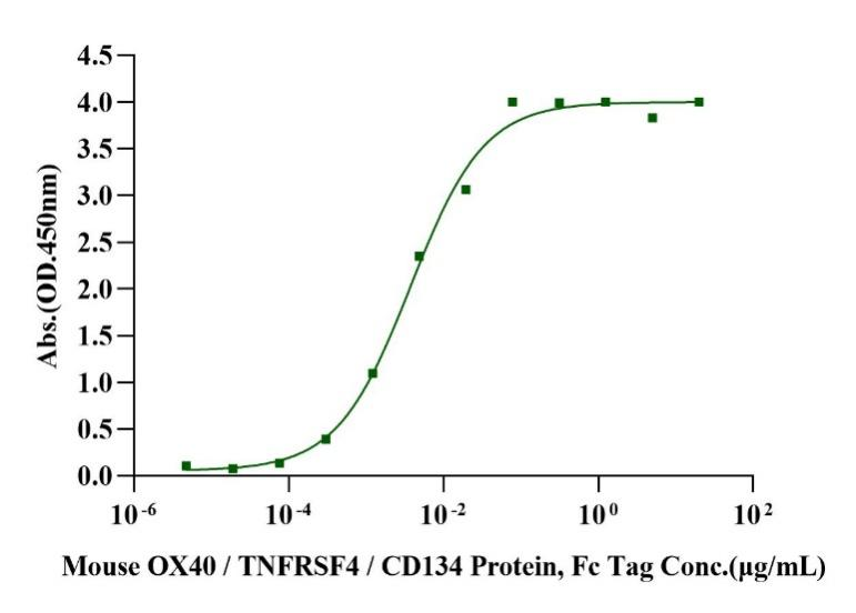OX40 Ligand/TNFSF4 His Tag Protein, Mouse