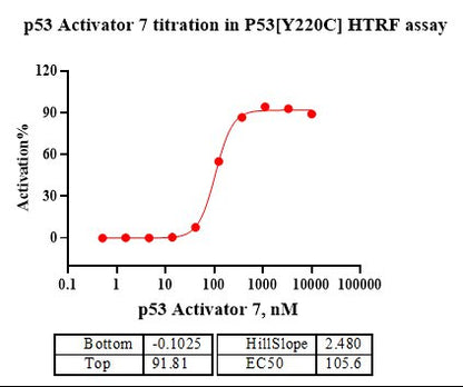 p53[Y220C] His Tag Protein
