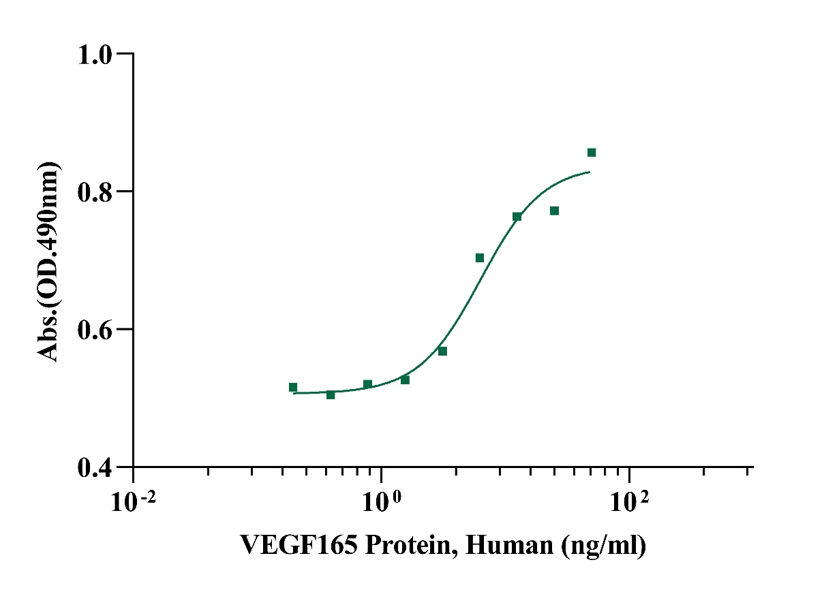 VEGF165 Protein, Human
