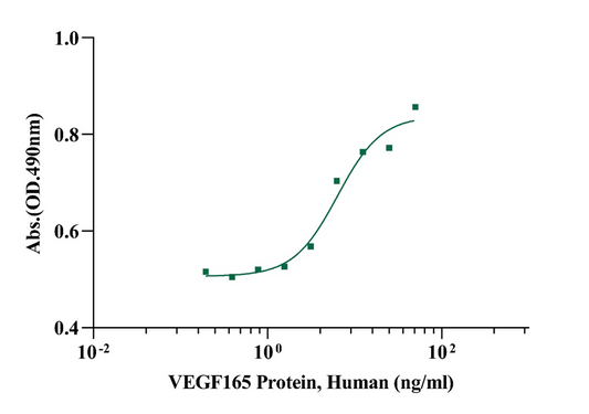 VEGF165 Protein, Human