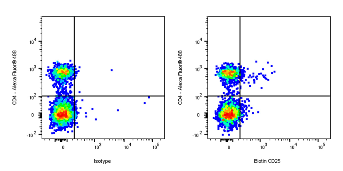 Biotin Rat Anti-Mouse CD25 (IL-2Rα) Antibody (PC-61.5.3)