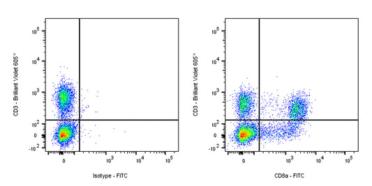 FITC Mouse Anti-Rat CD8a Antibody (OX-8)