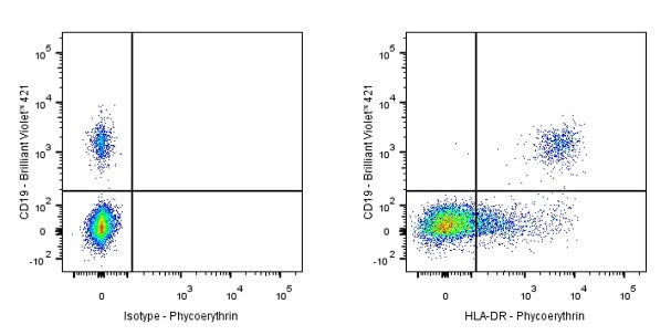 PE Mouse Anti-Human HLA-DR Antibody (L243)