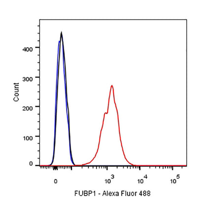 FUBP1 Recombinant Rabbit mAb (SDT-R060)