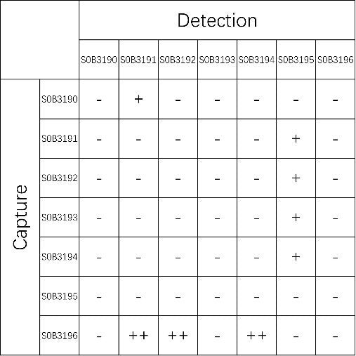 ASFV p30 Recombinant Rabbit mAb (SDT-637-84)