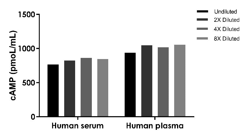 cAMP OneStep competitive ELISA Kit