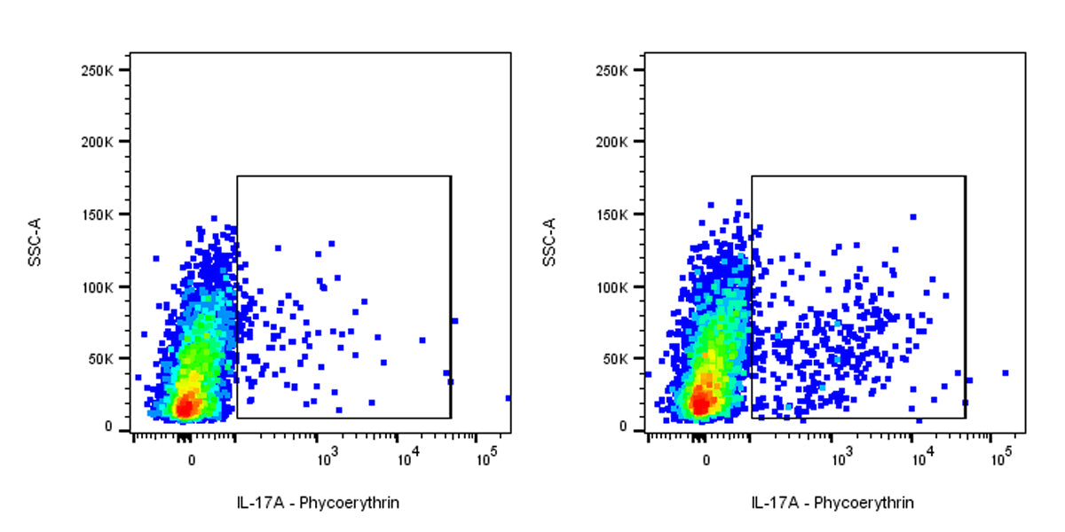 PE Rat Anti-Mouse IL-17A Antibody (S-R683)