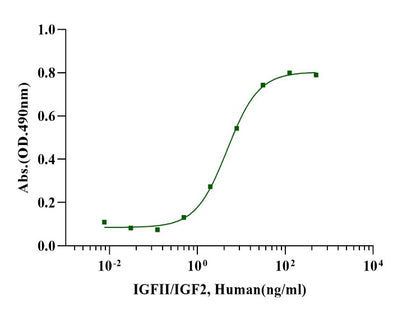 IGF-II Protein, Human