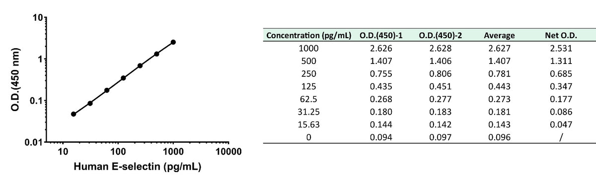 Human E-Selectin/CD62E OneStep ELISA Kit