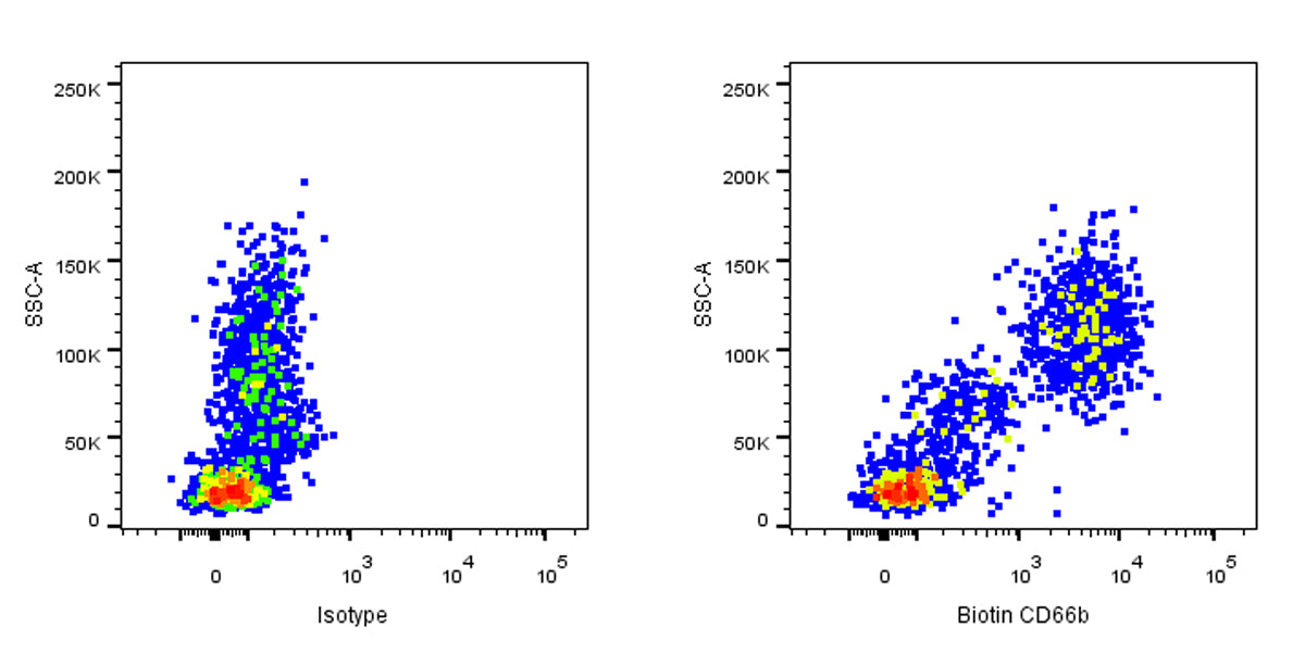 Biotin Mouse Anti-Human CD66b Antibody (G10F5)
