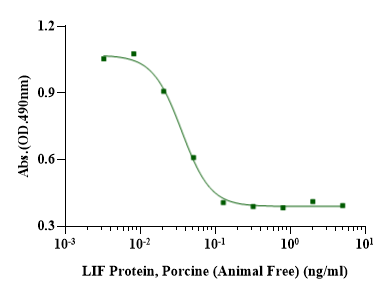 LIF Protein, Porcine (Animal Free)