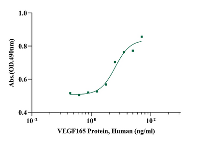 VEGF165 Protein, Human