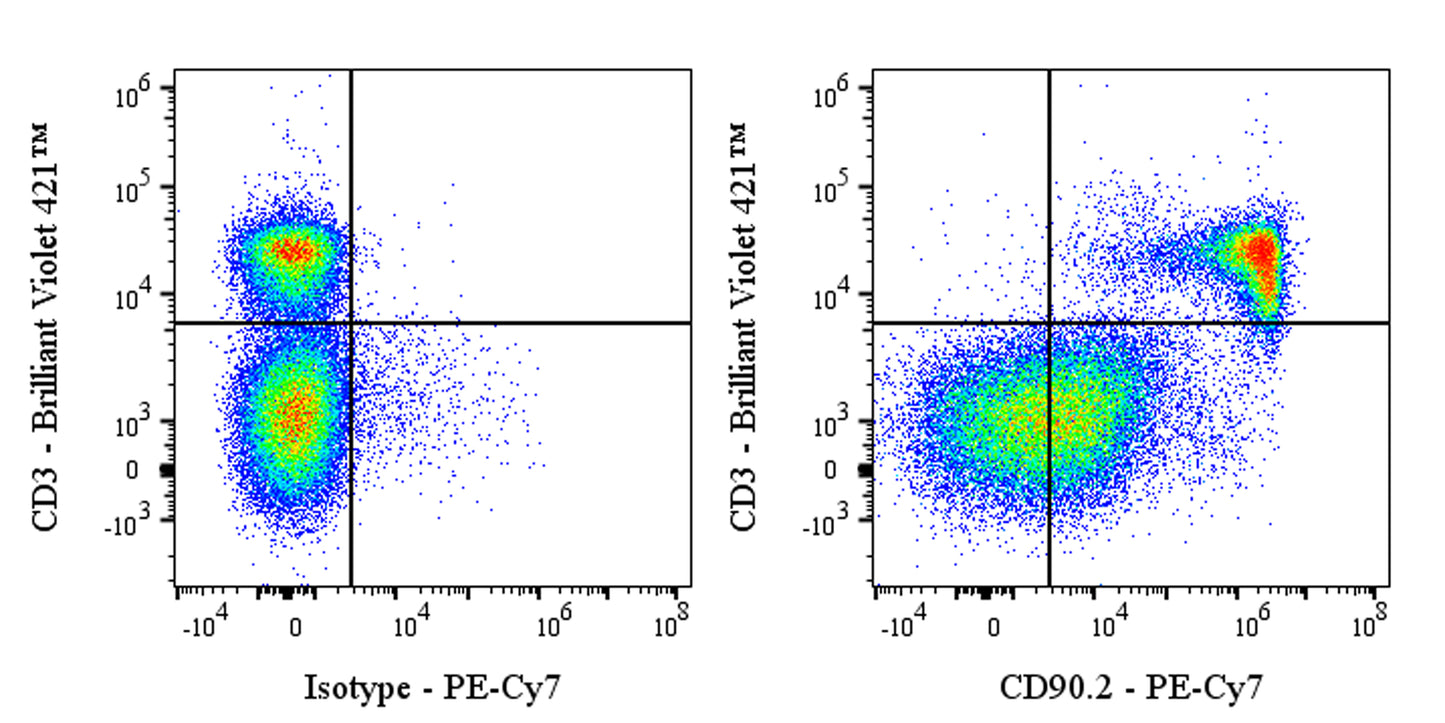 PE-Cy7 Rat anti-Mouse CD90.2 (Thy-1.2) Antibody (53-2.1)