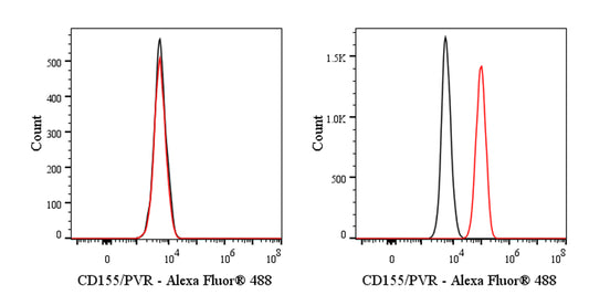 Alexa Fluor® 488 Mouse Anti-Human CD155/PVR Antibody (SKII.4）
