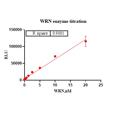 Product image media