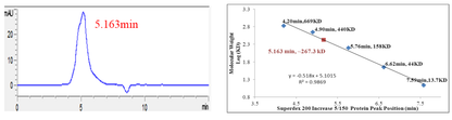 DYRK2 GST Tag Protein, Human