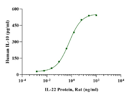 IL-22 Protein, Rat