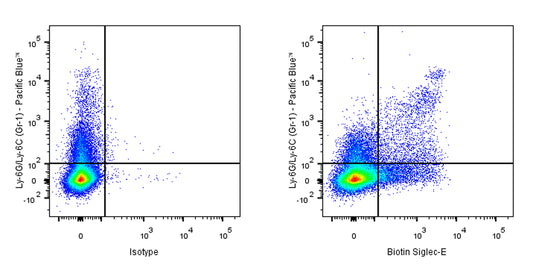 Biotin Rat Anti-Mouse Siglec-E Antibody (S-3881)