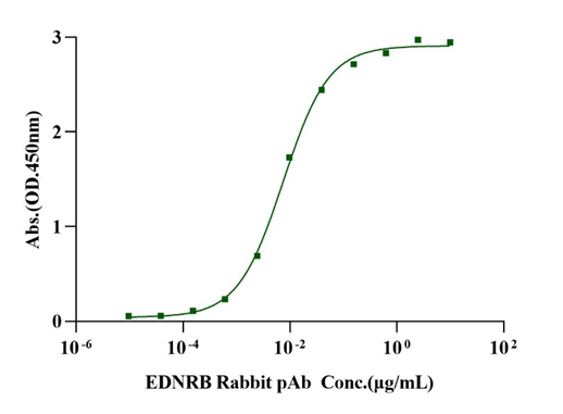 Endothelin B Receptor His Tag Protein, Human