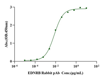 Endothelin B Receptor His Tag Protein, Human