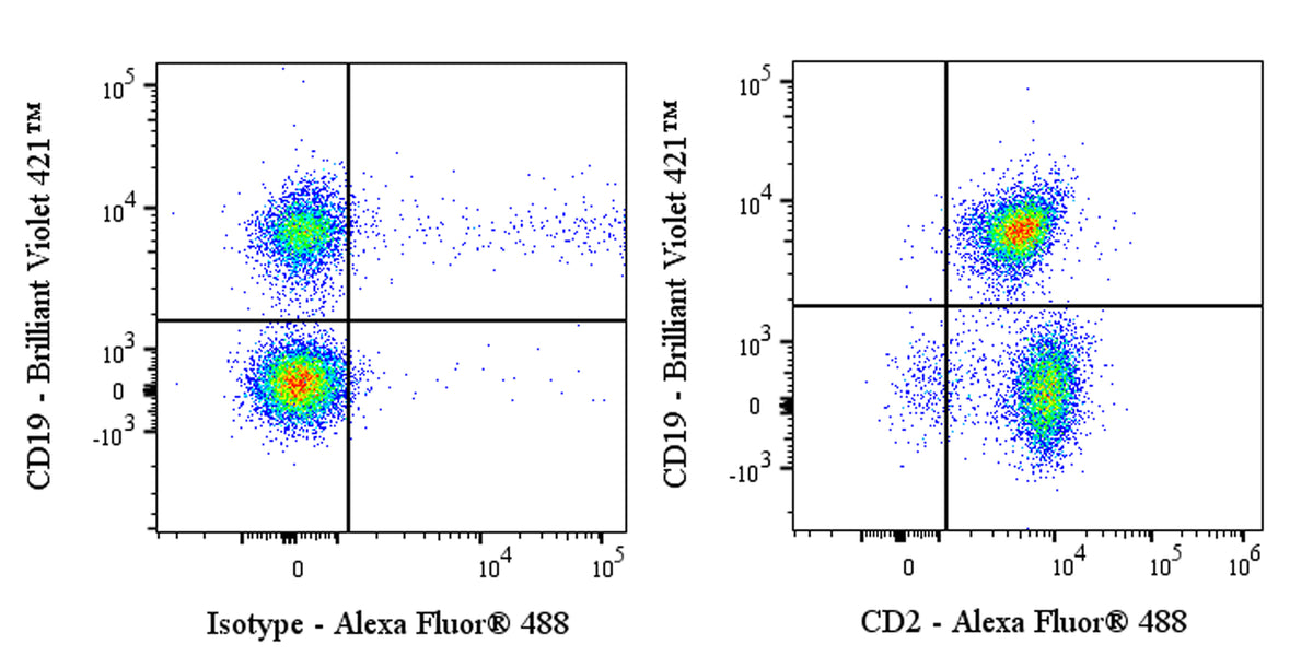 Alexa Fluor® 488 Rat Anti-Mouse CD2 Antibody (RM2-5)