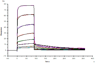 SIRP-α/CD172A His Tag Protein, Mouse