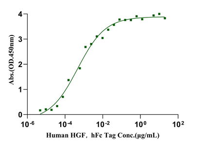 HGFR/c-MET His Tag Protein, Human