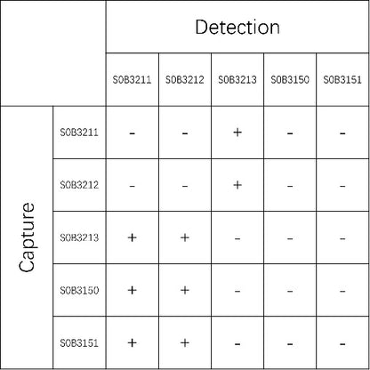 sTfR Recombinant Rabbit mAb (SDT-612-78)