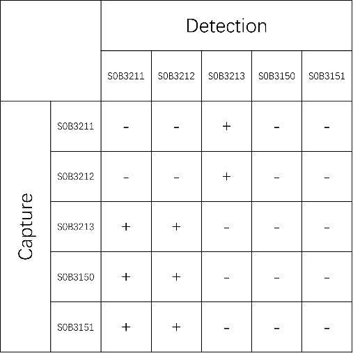 sTfR Recombinant Rabbit mAb (SDT-612-78)
