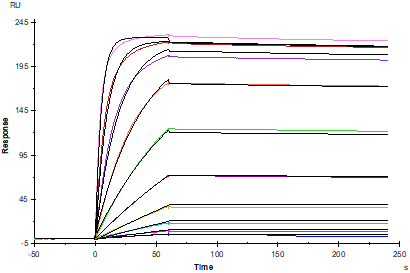 TNF-α Protein, Mouse